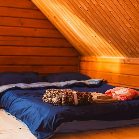 з чаном 4 качки у лісі біля львова для святкувань і відпочинку Вілла