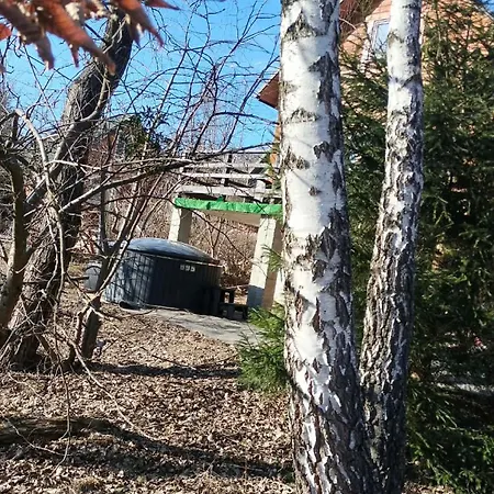 别墅 з чаном 